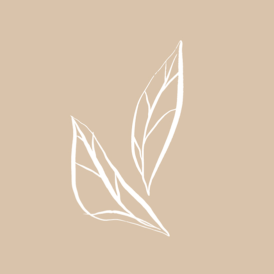 icon-vanilla (14)